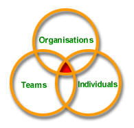 Organisations - Teams - Individuals